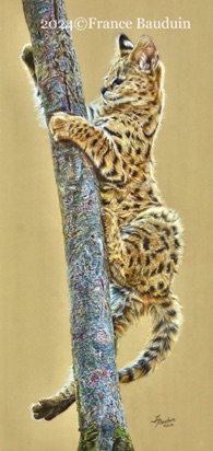 Serval in tree - 94 hours
Sand Pastelmat board
27" x 13"
Ref: Éric Simon